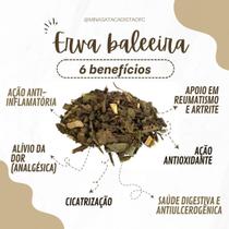 Erva Baleeira seca para chá 500 gramas Erva Baleeira seca para chá 500 gramas