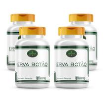 Erva Botão 240 Cápsulas 500Mg 4 Frascos Premium