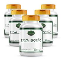 Erva Botão Cápsulas 500Mg 5 Frascos Pura 100% Natural