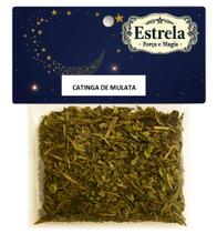 Erva Catinga de Mulato na Umbanda e Candomblé Descarrego Purificação Proteção Espiritual