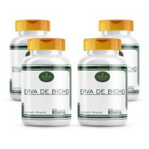 Erva De Bicho Premium - 4 Potes Cáps 500Mg 100% Pura