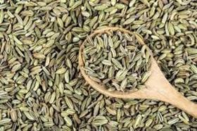 Erva doce 30g greenbios