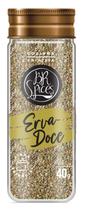 Erva Doce BR Spices Vidro 40G