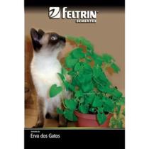 Erva dos Gatos Sementes 100mg Feltrin