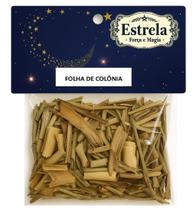 Erva Folha de Colônia na Umbanda e Candomblé Purificação Equilíbrio Proteção Espiritual