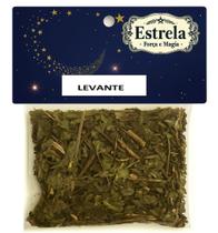 Erva Levante na Umbanda e Candomblé Força Renovação Proteção Espiritual