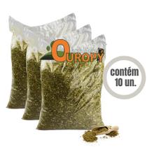 Erva Mate Ouropy Crioula Atacado 10 unidades