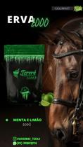 Erva Mate Tereré 2000 500g SABOR-menta e limão
