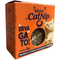 Erva para Gatos - Mister CatNip