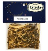 Erva Pinhão Roxo na Umbanda e Candomblé Descarrego Proteção Força Espiritual