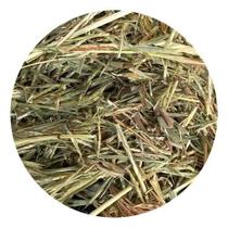 Erva Saco Saco 100g (Erva Desidratada)