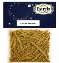 Erva Samambaia na Umbanda e Candomblé Limpeza Proteção Renovação Espiritual Erva Samambaia na Umbanda e Candomblé Limpeza Proteção Renovação Espiritual