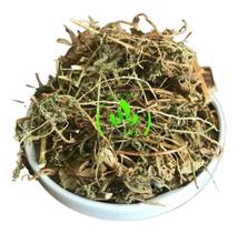 Erva Santa Maria/Mentruz 100g (Erva Desidratada)