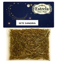 Erva Sete Sangria na Umbanda e Candomblé Limpeza Proteção Renovação Espiritual