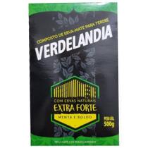 Erva Tereré Extra Forte Menta e Boldo Premium Verdelândia