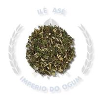 Ervas secas - arnica do mato - Nacional Ervas secas - arnica do mato - Nacional