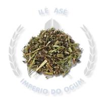 Ervas secas - artemísia