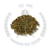 Ervas secas - catinga de mulata Ervas secas - catinga de mulata