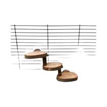 Escada De Madeira Para Hamster Em Cores Aleatórias, Brinquedo De Escalada Com 3 a 5 Degraus Para