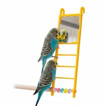Escada Espelhada Para Pássaros The Pets Brasil Brinquedo Interativo e Colorido