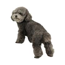 Escadas Para Animais De Estimação Antiderrapantes 2 3 Degraus Rampas De Espuma De Alta Densidade