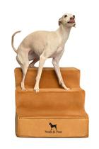 Escadas para cães NOAH & PAW 3 degraus 54x41x33 cm de largura extra Escadas para cães NOAH & PAW 3 degraus 54x41x33 cm de largura extra