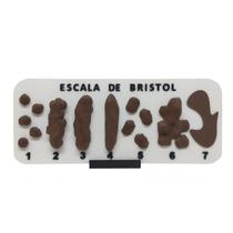 Escala De Bristol com Suporte Tabela Fezes Cocô 3D com Números