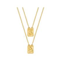 Escapulário Aço NSra. do Carmo e São Jorge Gold IPG