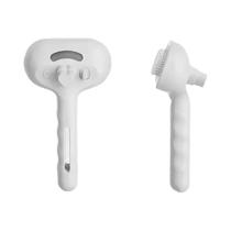 Escova Alisadora Elétrica Para Gatos Com Spray Massageador a Vapor Para Cuidado Capilar De Animais