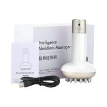 Escova De Massagem Elétrica Para Drenagem Linfática, EMS, Anticelulite, Queimador De Gordura, Escova De Massagem Elétrica Para Drenagem Linfática, EMS, Anticelulite, Queimador De Gordura,