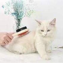 Escova Dupla Cachorro Gato Pelo Pulga Carrapato Pente Coleira Cabo Madeira Desembaraça Longo Pet