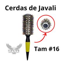 Escova Javali Com Cerdas Coloridas Tamanho 16/G Rana