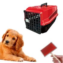 Escova Profissional Tira Pelo Cachorro + Caixa Transporte N3