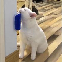 Escova Tira Pelos Coça Gato Com Catnip Parede Massagem