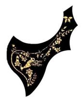 Escudo ronsani rainbow dourado