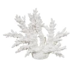 ESCULTURA CORAL DECOR POLIRESINA BRANCO 27cm (FLORARTE)