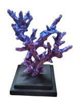 Escultura Coral Marinho Decoração