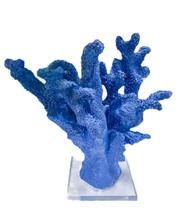 Escultura coral medio com base acrilica azul cobalto