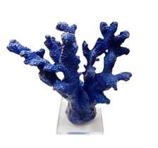 Escultura coral medio com base acrilica azul escuro