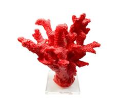 Escultura coral medio com base acrilica vermelho