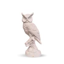 Escultura Coruja em Gesso Ideal P/ Pintura Manual DIY e Decoração de Ambientes VÁRIAS VARIEDADES Escultura Coruja em Gesso Ideal P/ Pintura Manual DIY e Decoração de Ambientes VÁRIAS VARIEDADES