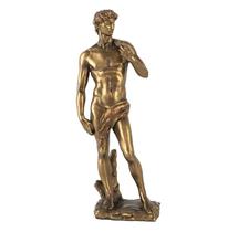 Escultura david