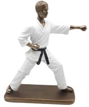 Escultura Decoração Karateca Karatê Estatueta Em Resina 23cm