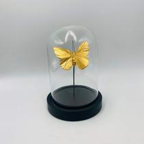 Escultura Decorativa Redoma de Vidro com Borboleta Dourada 16x11,5x11,5cm Escultura Decorativa Redoma de Vidro com Borboleta Dourada 16x11,5x11,5cm