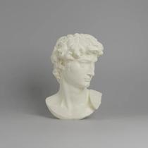 Escultura Estatua Branco Cabeça Busto David De Michelangelo - V I X 3 D