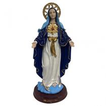 Escultura Imaculada Sagrado Coracao de Maria com Coroa 30 cm em resina