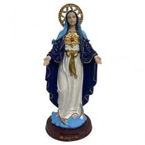 Escultura Imaculada Sagrado Coracao de Maria com Coroa 30 cm em resina - Lua Mística - 100% Original - Loja Oficial