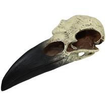 Escultura Komodo Raven Skull Terrarium Decor 20 cm de largura Escultura Komodo Raven Skull Terrarium Decor 20 cm de largura
