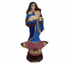 Escultura Nossa Senhora Abadia 13,5 cm resina Escultura Nossa Senhora Abadia 13,5 cm resina
