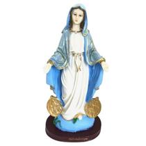 Escultura Nossa Senhora Das Medalhas Milagrosas 26Cm Resina